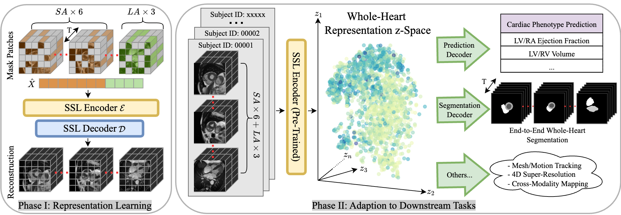 Cardiac Representation Learning